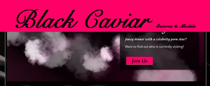 EXCITING NEW ESCORTS